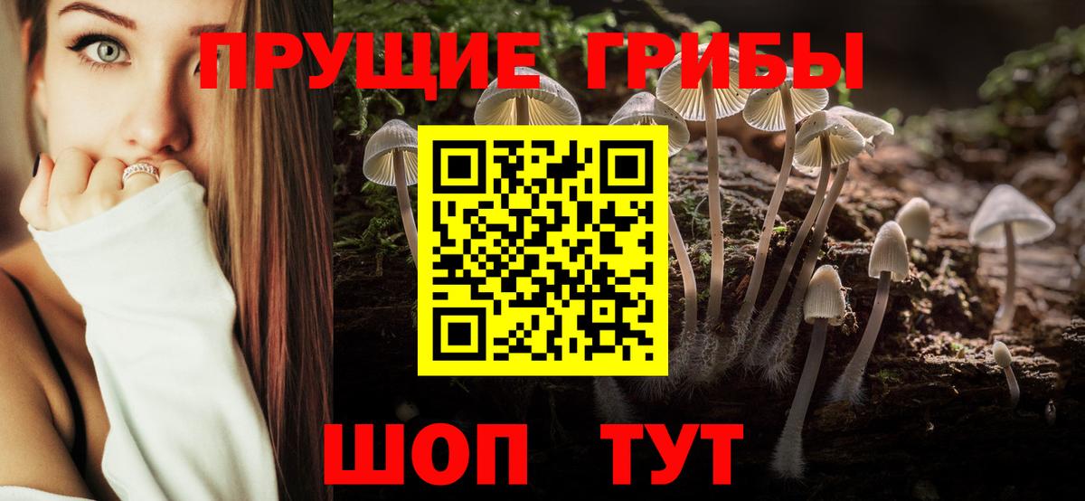 Псилоцибиновые грибы Cubensis Севастополь
