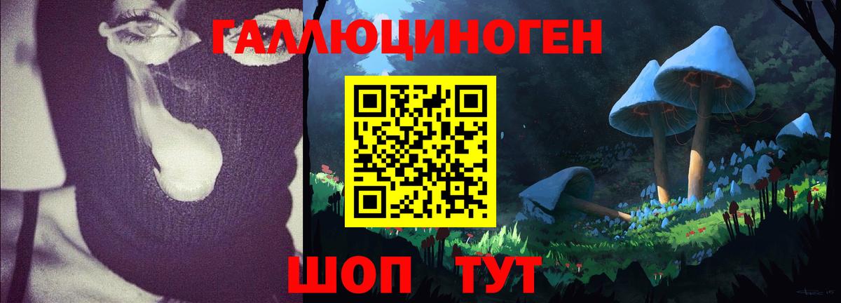 Псилоцибиновые грибы MAGIC MUSHROOMS  Вход с VPN  Севастополь 